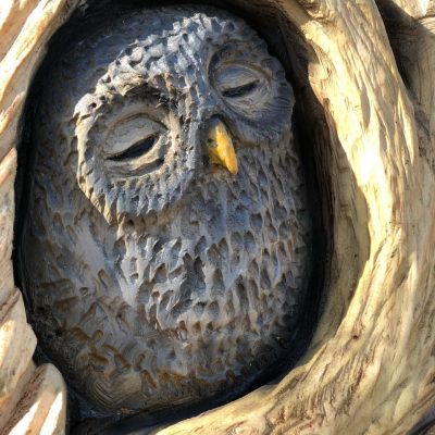 Loch Lomond Faerie Trail, Totem Barn Owl Carving