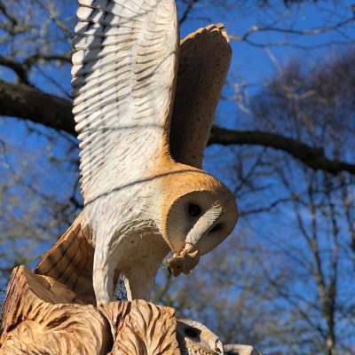 Loch Lomond Faerie Trail, Totem Barn Owl Carving