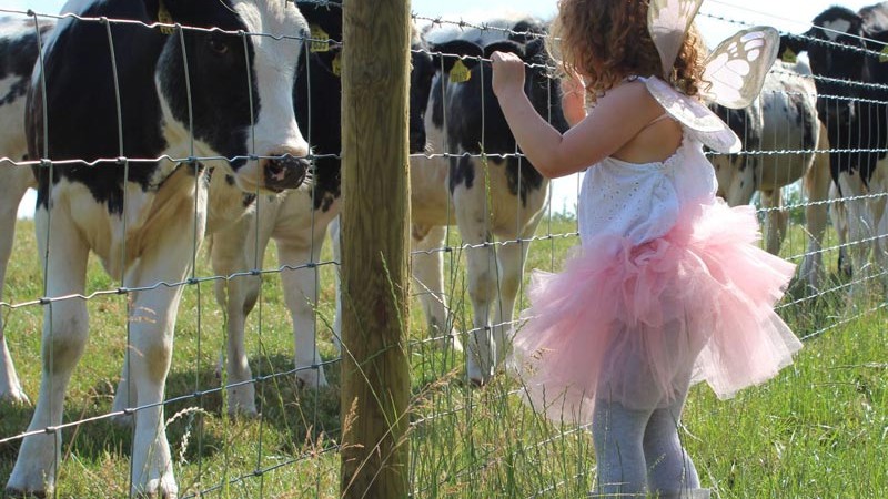 profit Farm diversification