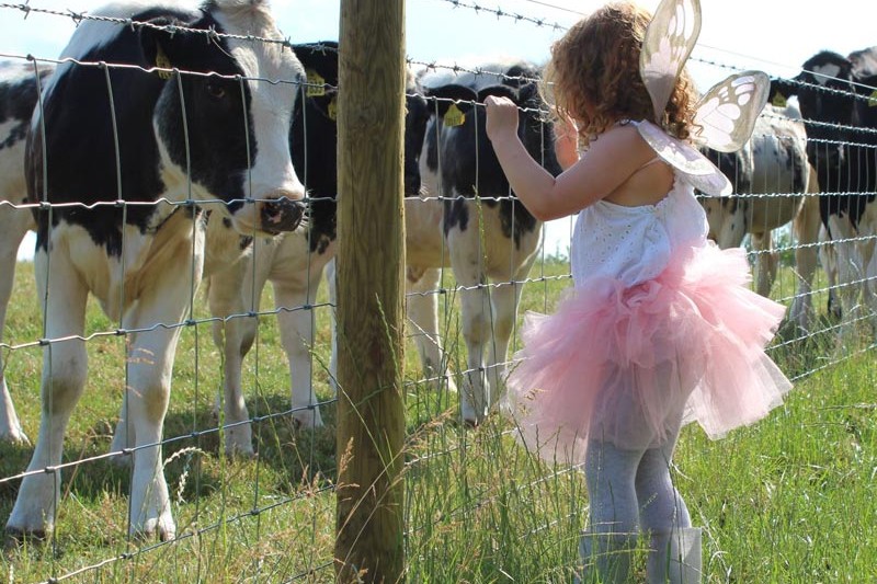 profit Farm diversification