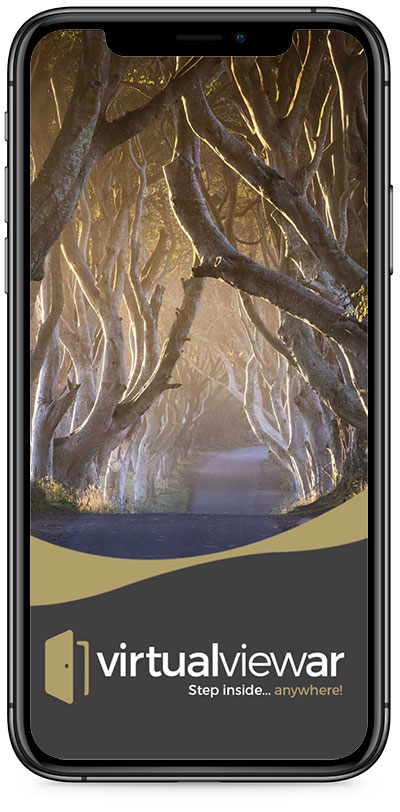 Dark hedges