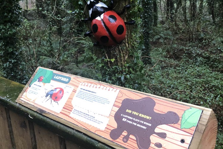 Ladybird Information Board