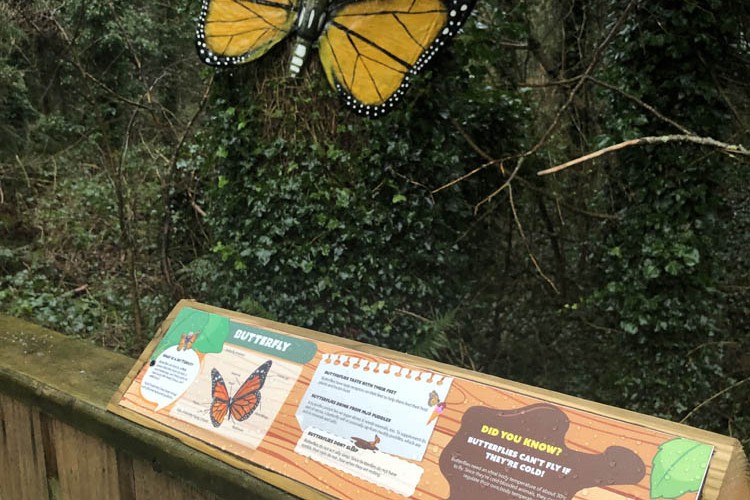 Butterfly Information Board