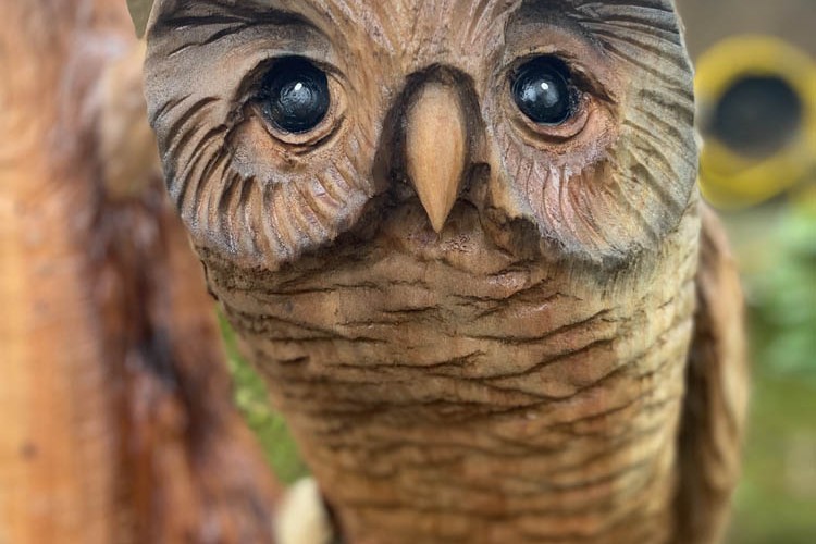 Wooden Owl Sculptures