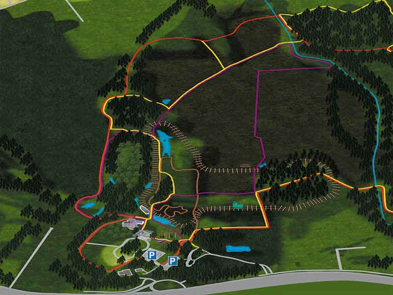 Peatlands-Park-3D-Complex-Forest-Park-Map