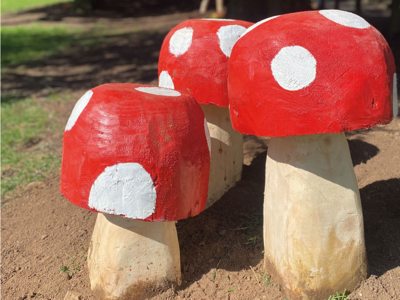 close up of sensory mushroom seats on trail