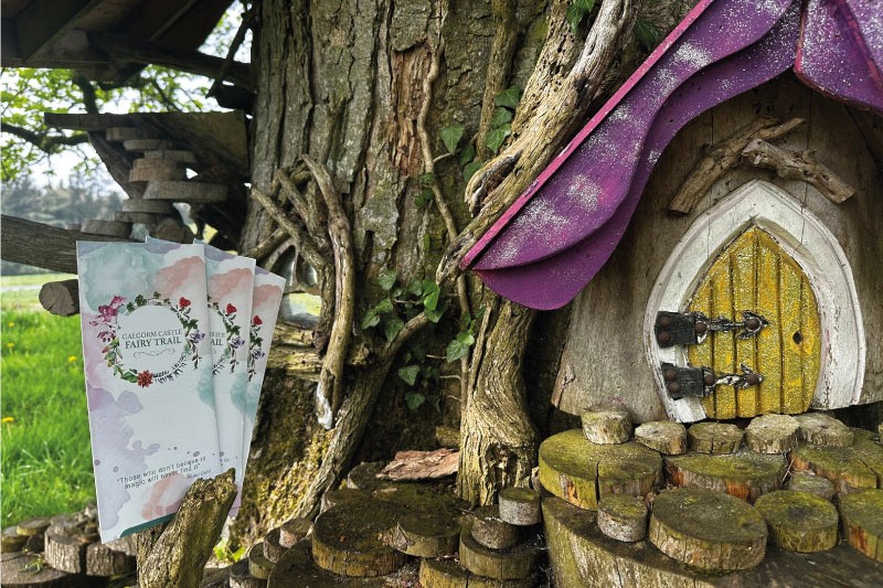shot of fairy tree door with brochures Galgorm branding campaign