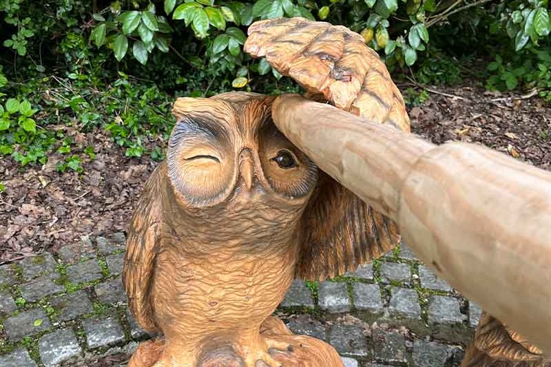 Armagh planetarium trail