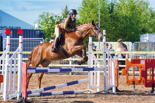 Balmoral Horse Show