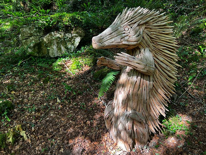 The Craggaunowne Fairy Trail