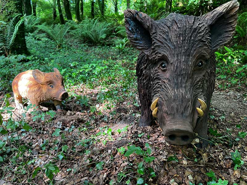 The Craggaunowne Fairy Trail