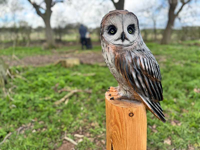 Hand-carved wooden owl sculpture on the Apley Farm Shop Nature Trail