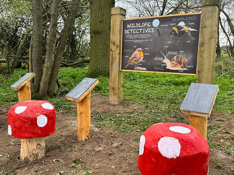 Outdoor classroom with carved blackboard and mushroom seats