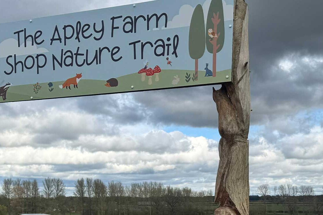 Woodland nature trail at Apley Farm Shop