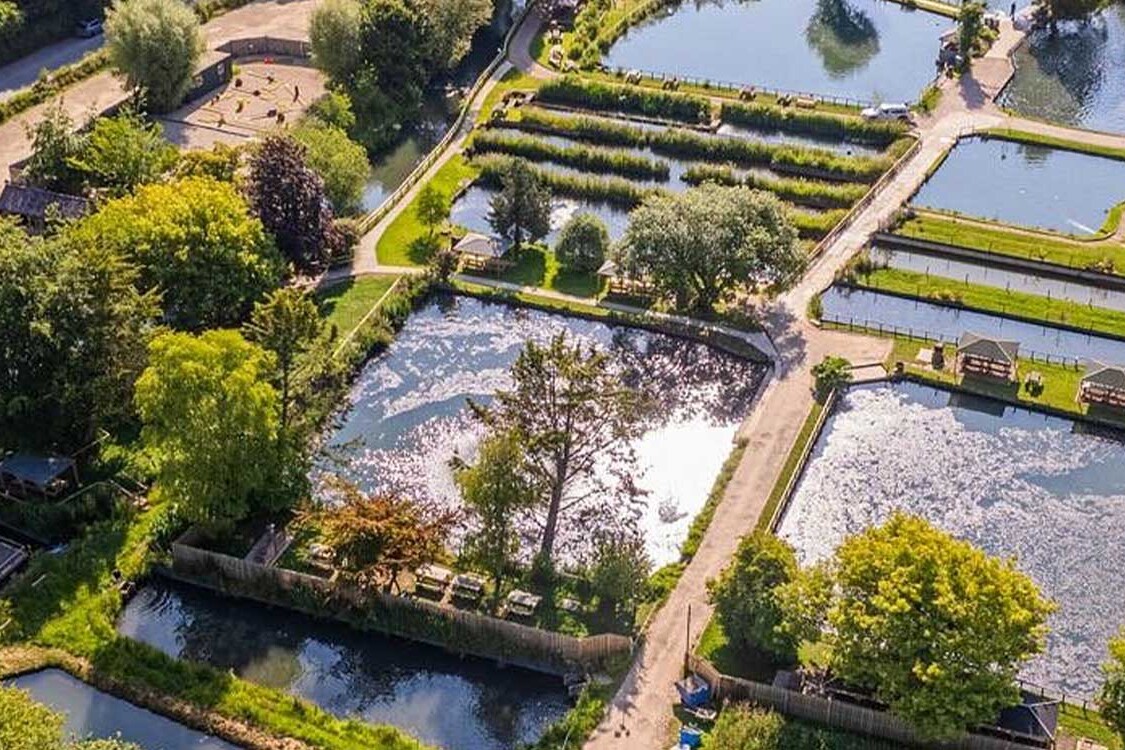 Bibury Trout Farm - Gilbert's Fin-Tastic Quest!