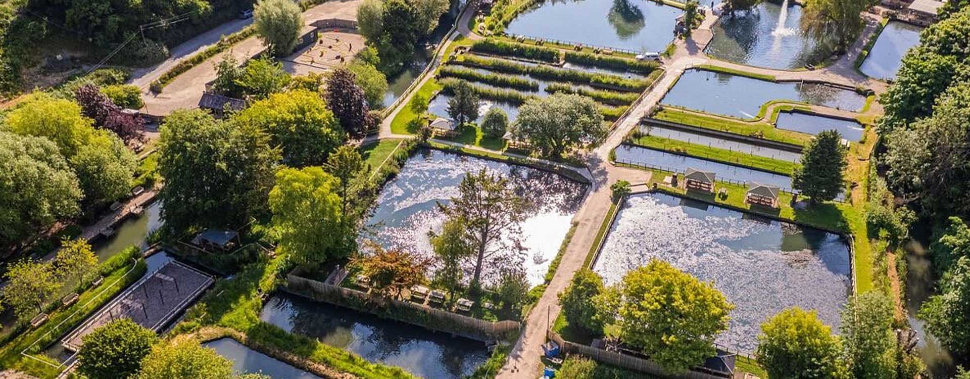Bibury Trout Farm - Gilbert's Fin-Tastic Quest!