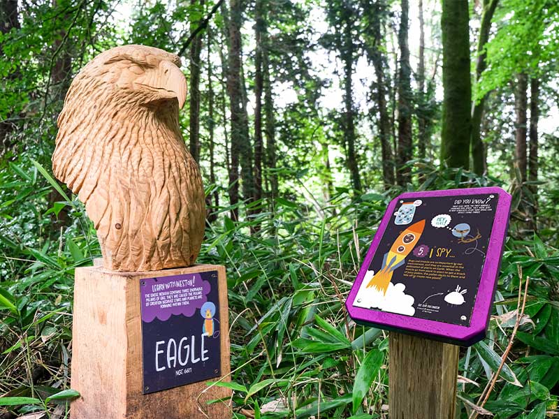 Bespoke Trail in a Box solution designed to create an engaging outdoor visitor experience quickly and easily.