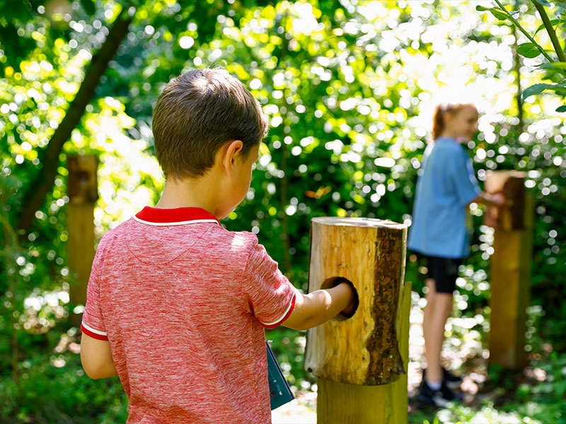 Child exploring a wooden sensory touch box on an interactive woodland trail