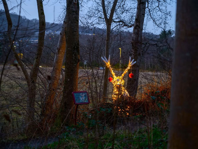 Illuminated woodland sculpture decorated for a Christmas seasonal trail